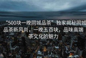 “500塊一晚同城品茶”獨家揭秘同城品茶新風尚，一晚五百塊，品味高端茶文化的魅力