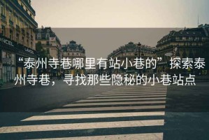 “泰州寺巷哪里有站小巷的”探索泰州寺巷，尋找那些隱秘的小巷站點