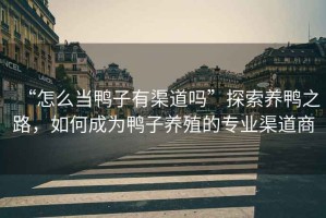 “怎么當(dāng)鴨子有渠道嗎”探索養(yǎng)鴨之路，如何成為鴨子養(yǎng)殖的專業(yè)渠道商