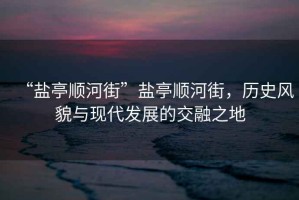 “鹽亭順河街”鹽亭順河街，歷史風(fēng)貌與現(xiàn)代發(fā)展的交融之地