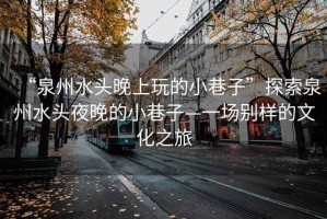 “泉州水頭晚上玩的小巷子”探索泉州水頭夜晚的小巷子—一場別樣的文化之旅