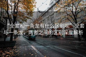 “全套和一條龍有什么區(qū)別呢”全套與一條龍，兩者之間的區(qū)別深度解析