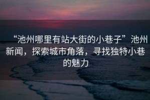 “池州哪里有站大街的小巷子”池州新聞，探索城市角落，尋找獨特小巷的魅力