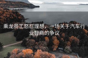 乘龍員工怒懟理想，一場關(guān)于汽車行業(yè)智商的爭議