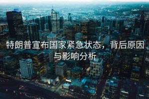特朗普宣布國家緊急狀態(tài)，背后原因與影響分析