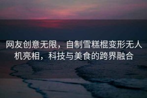 網(wǎng)友創(chuàng)意無限，自制雪糕棍變形無人機(jī)亮相，科技與美食的跨界融合