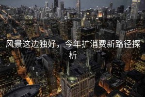 風景這邊獨好，今年擴消費新路徑探析