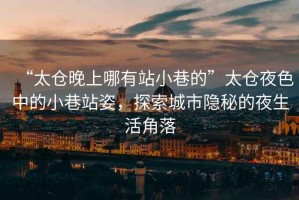 “太倉晚上哪有站小巷的”太倉夜色中的小巷站姿，探索城市隱秘的夜生活角落