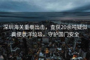 深圳海關重拳出擊，查獲20余噸疑似糞便狀洋垃圾，守護國門安全