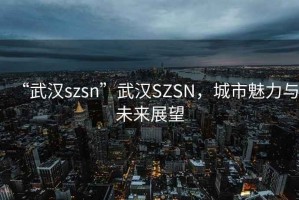 “武漢szsn”武漢SZSN，城市魅力與未來展望