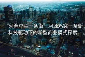 “河源雞窩一條街”河源雞窩一條街，科技驅(qū)動(dòng)下的新型商業(yè)模式探索
