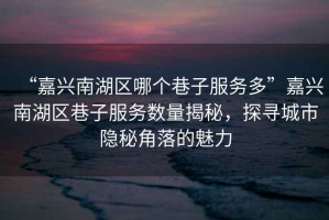 “嘉興南湖區(qū)哪個巷子服務多”嘉興南湖區(qū)巷子服務數(shù)量揭秘，探尋城市隱秘角落的魅力