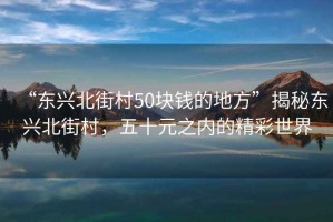 “東興北街村50塊錢的地方”揭秘東興北街村，五十元之內(nèi)的精彩世界