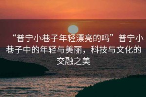 “普寧小巷子年輕漂亮的嗎”普寧小巷子中的年輕與美麗，科技與文化的交融之美