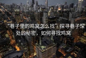 “巷子里的雞窩怎么找”探尋巷子深處的秘密，如何尋找雞窩