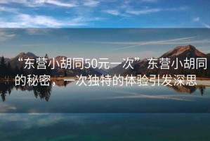 “東營小胡同50元一次”東營小胡同的秘密，一次獨特的體驗引發(fā)深思