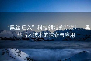 “黑絲 后入”科技領(lǐng)域的新寵兒，黑絲后入技術(shù)的探索與應(yīng)用