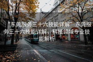 “東莞服務三十六技能詳解”東莞服務三十六技能詳解，科技領域專業(yè)技能解析