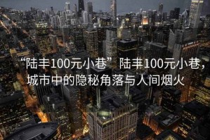 “陸豐100元小巷”陸豐100元小巷，城市中的隱秘角落與人間煙火