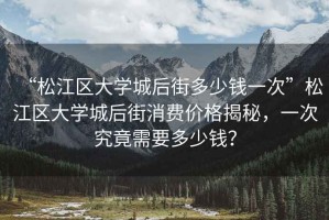 “松江區(qū)大學(xué)城后街多少錢一次”松江區(qū)大學(xué)城后街消費(fèi)價(jià)格揭秘，一次究竟需要多少錢？