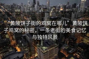 “黃陂餅子街的雞窩在哪兒”黃陂餅子雞窩的秘密，一條老街的美食記憶與獨(dú)特風(fēng)景