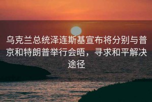 烏克蘭總統(tǒng)澤連斯基宣布將分別與普京和特朗普舉行會晤，尋求和平解決途徑