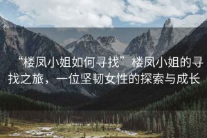 “樓鳳小姐如何尋找”樓鳳小姐的尋找之旅，一位堅(jiān)韌女性的探索與成長(zhǎng)