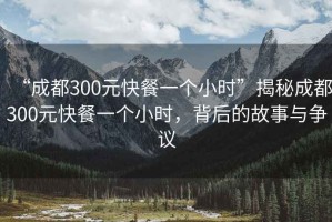 “成都300元快餐一個小時”揭秘成都300元快餐一個小時，背后的故事與爭議
