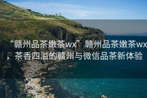 “贛州品茶嫩茶wx”贛州品茶嫩茶wx，茶香四溢的贛州與微信品茶新體驗