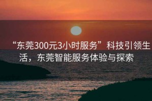 “東莞300元3小時服務”科技引領生活，東莞智能服務體驗與探索