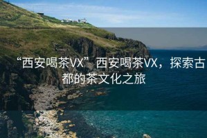 “西安喝茶VX”西安喝茶VX，探索古都的茶文化之旅