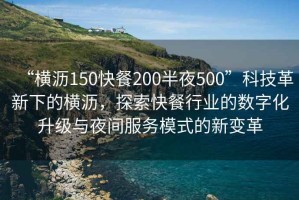 “橫瀝150快餐200半夜500”科技革新下的橫瀝，探索快餐行業(yè)的數(shù)字化升級與夜間服務(wù)模式的新變革