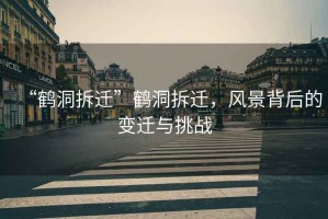 “鶴洞拆遷”鶴洞拆遷，風(fēng)景背后的變遷與挑戰(zhàn)