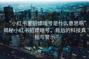 “小紅書(shū)里招嫖暗號(hào)是什么意思啊”揭秘小紅書(shū)招嫖暗號(hào)，背后的科技真相與警示