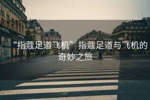 “指蔻足道飛機(jī)”指蔻足道與飛機(jī)的奇妙之旅