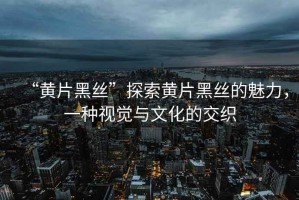 “黃片黑絲”探索黃片黑絲的魅力，一種視覺與文化的交織
