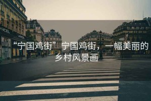 “寧國(guó)雞街”寧國(guó)雞街，一幅美麗的鄉(xiāng)村風(fēng)景畫(huà)