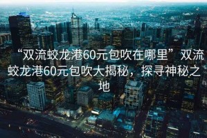 “雙流蛟龍港60元包吹在哪里”雙流蛟龍港60元包吹大揭秘，探尋神秘之地