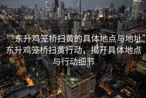 “東升雞籠橋掃黃的具體地點與地址”東升雞籠橋掃黃行動，揭開具體地點與行動細節(jié)