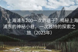 “上海浦東200一次的巷子”揭秘上海浦東的神秘小巷，一次獨特的探索之旅（2023年）