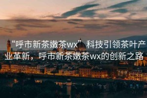 “呼市新茶嫩茶wx”科技引領(lǐng)茶葉產(chǎn)業(yè)革新，呼市新茶嫩茶wx的創(chuàng)新之路