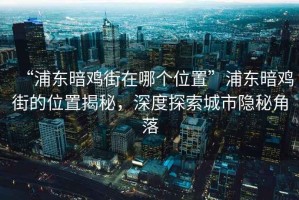 “浦東暗雞街在哪個位置”浦東暗雞街的位置揭秘，深度探索城市隱秘角落