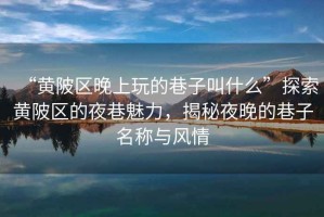 “黃陂區(qū)晚上玩的巷子叫什么”探索黃陂區(qū)的夜巷魅力，揭秘夜晚的巷子名稱與風情