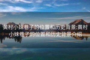 黃村小妹巷子的位置和歷史背景:黃村小妹巷子的位置和歷史背景介紹
