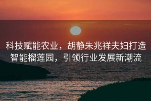 科技賦能農(nóng)業(yè)，胡靜朱兆祥夫婦打造智能榴蓮園，引領(lǐng)行業(yè)發(fā)展新潮流