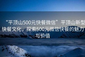 “平頂山500元快餐微信”平頂山新型快餐文化，探索500元微信快餐的魅力與價值