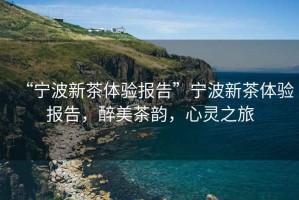 “寧波新茶體驗(yàn)報(bào)告”寧波新茶體驗(yàn)報(bào)告，醉美茶韻，心靈之旅
