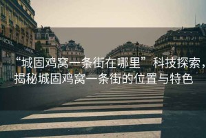 “城固雞窩一條街在哪里”科技探索，揭秘城固雞窩一條街的位置與特色
