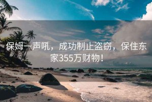 保姆一聲吼，成功制止盜竊，保住東家355萬財(cái)物！