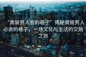 “黃陂男人去的巷子”揭秘黃陂男人必去的巷子，一場文化與生活的交融之旅
